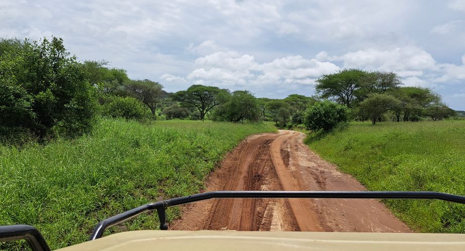 Game drive in Tanzania
